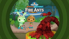 Épisode 22