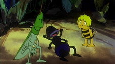 Maya et Willy navigateurs