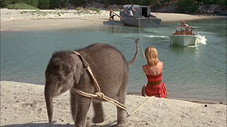 Flipper et l'éléphant (2)