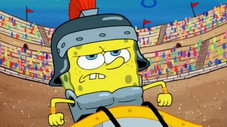 Spongicus