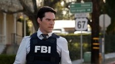In Heat