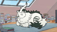 Épisode 50