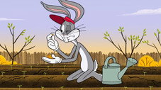 Le Jardin de Bugs