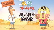 Épisode 556