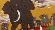 Sandy le petit éléphant