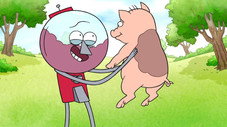 Benson's Pig