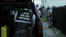 Episódio 7
