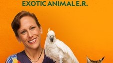 Episode Thumbnail
