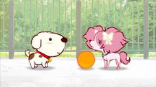 Épisode 5