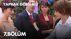 Épisode 7