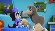 Épisode 5