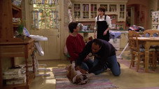 Un chien dans la maison