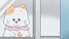 Épisode 17