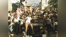 Les Lavandes et la Liberté