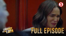 Épisode 33
