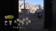 Épisode 18