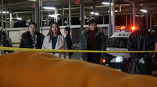 Épisode 7