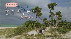 Épisode 16