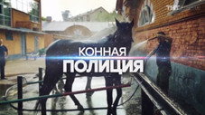 Épisode 11