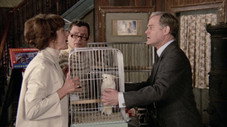 Épisode 6