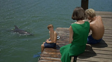 La Femme et le Dauphin (1)