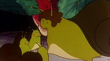 Maya et la grenouille