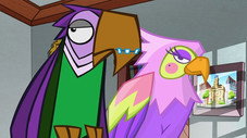 Épisode 50