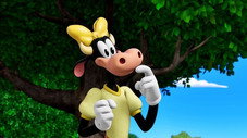 Le nouveau poulailler de Clarabelle