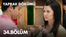 Épisode 34