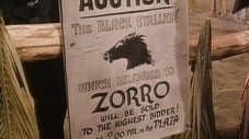 El Zorro 1x21