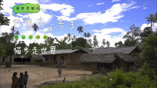 Épisode 56