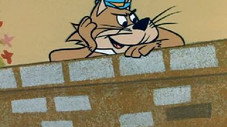 Deux souris se battent