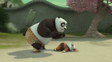 Le dos de Shifu