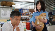 Épisode 5