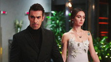 Épisode 14