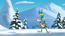 Lapin des Neiges