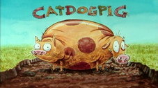 Épisode 10