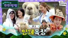 Épisode 3