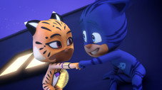 Yoyo et Bastet, les chats dansants