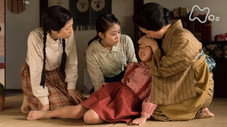 Épisode 11