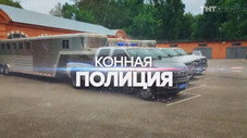 Épisode 8