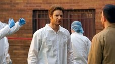 Infecção - Parte 2