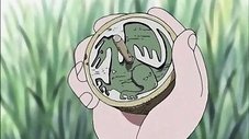 Batalha nas Ruínas! Um Nervoso Zoro vs. Eric!