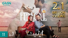 Épisode 11