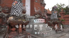 Épisode 35