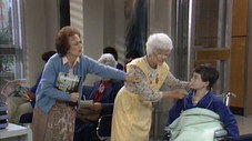 The Days & Nights Of Sophia Petrillo