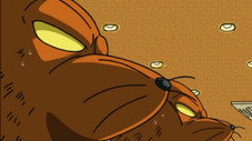 Épisode 11