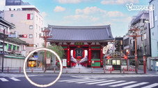 L'ami du kangourou / Asakusa