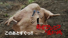 Épisode 10