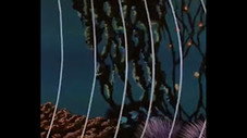 Where Lurks the Fisherman